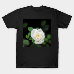 Shabby chic Pale Pink Rose Flower T-Shirt